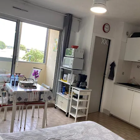 Confort Et Lumineux Avec Loggia Et Parking Apartment *